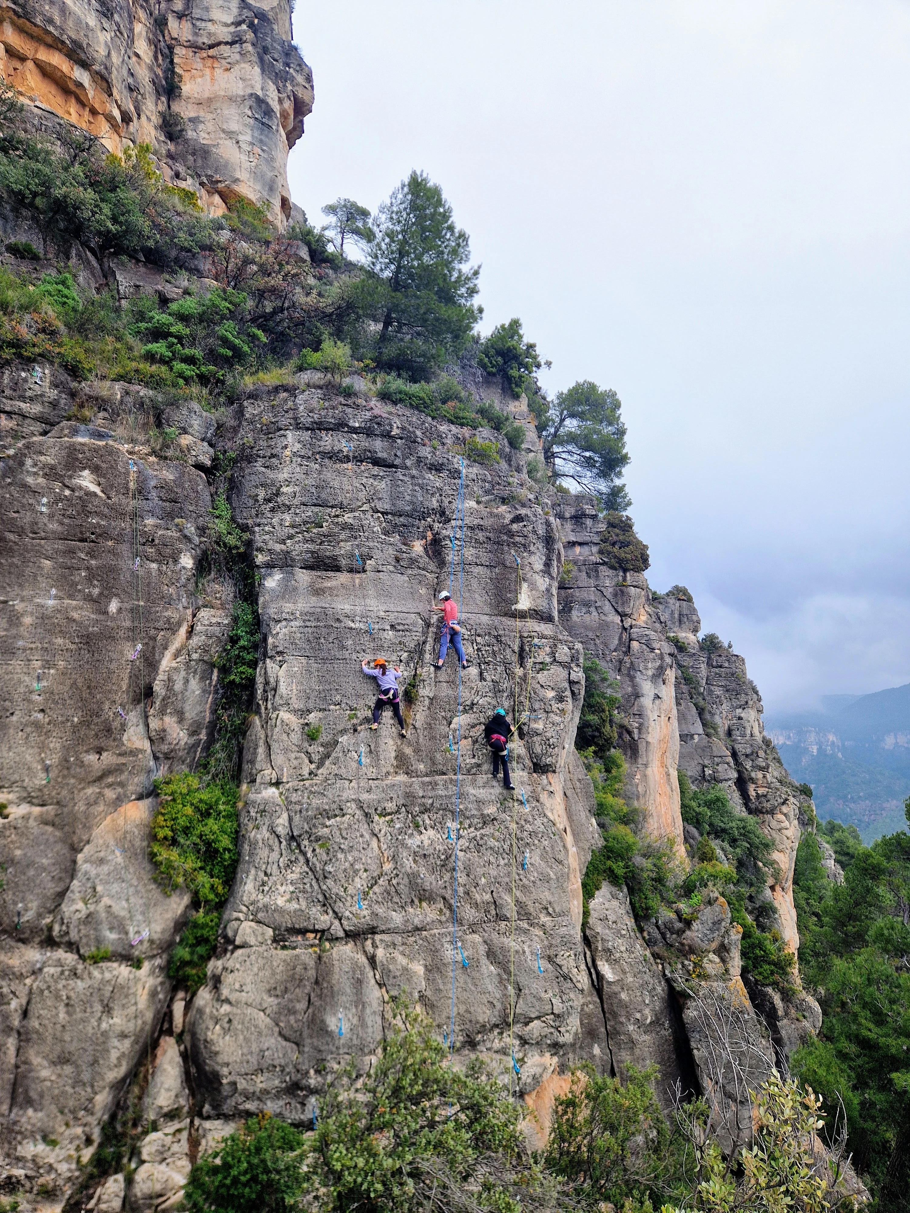 Imagen de actividad 13